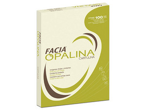 Papel Opalina Cartulina Copamex, Color Marfil, Tamaño Carta, 225 g/m. Paquete con 100 Hojas.