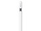 Apple Pencil para iPad Pro, Bluetooth, USB-C, Color Blanco.