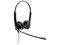 Audífonos con Micrófono Jabra Education Biz 1100 U. Color Negro