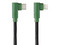 Cable USB Hune AT-ACC-CA-354-BOS, de USB-C a Lightning (M-M), Conector de 90 grados, 1.2m, Color Verde.