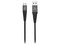 Cable Wild Flag de USB a USB-C (M-M), 1.2m. Color Negro.
