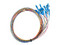 Kit de Cables de Fibra Óptica Pigtail, 2m de Largo, Monomodo, 12 Fibras.