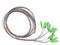 Pigtail de Fibra Belden, Monomodo, Bufer 900, 12 Fibras, 2m.
