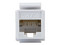 Conector RJ45 Categoria 6, Vertical, Color Blanco.