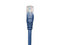 Cable Patch Intellinet Cat6 UTP (M-M), 50cm.