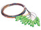 Kit de 12 cables de fibra óptica Pigtail-SC/APC Monomodo 2 m LinkedPro.