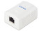 Roseta de Pared Linkedpro LP-WP-40-C6A con 1 Puerto, Incluye 1 jack STP, Cat6A, Color Blanco.