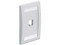 Placa frontal vertical de una salida, acepta 1 módulo Mini-Com