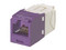Jack Panduit CJ688TGVL, RJ45, Categoría 6.  Color Violeta.