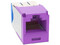 Jack Panduit CJ6X88TGVL RJ45 Estilo TG, Mini-Com, Categoría 6A, 8 Posiciones y 8 Cables, Color Violeta.