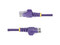Cable de Red StarTech N6PAT100CMPLS, RJ-45 a RJ-45 (M-M), Cat6, 28AWG, 1m. Color Morado.