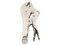 Pinzas de Presión Precision PST-H010-01 de 10