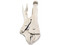 Pinzas de Presión Precision PST-H010-01 de 10