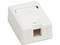Caja de pared Tripplite N082-001-WH de 1 puerto Keystone, instalación en superficie. Color Blanco.