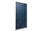 Panel Fotovoltaico Policristalino Smartbitt SBSPV330P-72 de 330W, 72 Celdas.