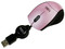 Netpack de Portafolio y Mini Mouse Perfect Choice para Netbook de 10