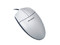 Mouse Acteck AM-120, 2 Botones, PS/2