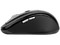 Mouse Óptico Acteck Exeed Traveller AM-1900RF, Inalámbrico, USB. Color Negro