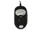 Mini Mouse Acteck AM-340 Óptico, USB. Color Negro