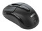 Mouse Benq P620 Óptico Inalámbrico para Laptop, USB. Color Negro   