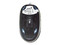 Mouse Óptico Genius NetScroll+Traveler, PS/2