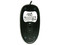 Mouse Óptico Genius XScroll, PS/2