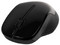 Mouse Óptico Inalámbrico HP 250, USB. Color Negro.