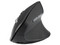 Mouse Ergonómico Kensington Pro Fit, Receptor USB, Color Negro.