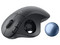 Mouse Trickball Inalámbrico Logitech Ergo M575S, Receptor USB. Color Grafito.