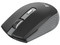 Mouse Inalámbrico Nextep NE-413NG: Recargable y Resolución de 1600 dpi. Color Negro/Gris.