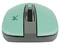 Mouse Óptico Inalámbrico Perfect Choice  PC-044819, USB. Color Verde.