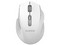 Mouse Óptico Inalámbrico Quaroni MICTB1, 2400DPI, Color Blanco.