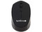 Mouse óptico inalámbrico TechZone TZ19MOU01-INA, receptor USB, Color Negro.