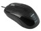 Mouse Vorago Vnine Óptico, USB. Color Negro   