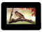 Portarretrato Digital Samsung LCD de 7