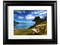 Portarretrato Digital Viewsonic LCD de 10