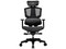Silla Gamer Cougar Argo One, Inclinación ajustable, Soporta hasta 150 Kg, Color Negro.