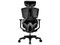 Silla Gamer Cougar Argo One, Inclinación ajustable, Soporta hasta 150 Kg, Color Negro.