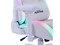 Silla Gamer Ocelot White Thundra RGB, Reclinable, Cojín Lumbar y Cervical, Descansa brazos Ajustable 4D, Soporta hasta 150kg. Color Blanco.