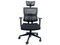 Silla Ejecutiva Ergo Parma C, Respaldo de Malla, Soporta Hasta 120Kg. Color Negro.