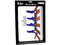 Skin TechZone The Beatles para Laptop Widescreen de 10.2