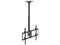 Soporte de techo para pantalla, ángulo ajustable, soporta 32 a 75 pulgadas