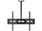 Soporte de Techo Steren STV-065 para Pantallas de 32