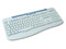 Teclado Aopen, PS2, color gris.