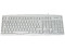 Teclado Acteck Standard AT 9900, PS/2
