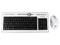 Teclado y Mouse inalámbrico Slim Acteck AT-SLX500RF, USB. Color Blanco con Negro