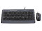 Teclado y Mouse Benq Deluxe 1350, USB