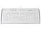 Teclado Manhattan Advanced Multimedia con dos puertos USB. Color Blanco