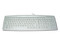 Teclado LINKWORLD en Español, Color Beige, PS/2