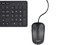 Teclado y Mouse Quaroni KAQ01, USB, Español. Color Negro.